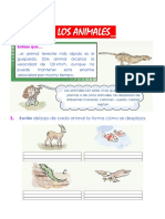 Los Animales para Primer Grado de Primaria