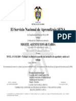 Certificacion NCL 220601038 .