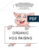 Organic Hog Raising