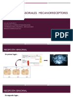 FA 8. Receptores Sensoriales. Mecanorreceptores