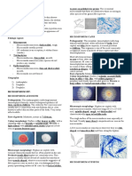 Cutaneous Mycoses: Microsporum SPP