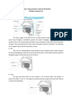 ENGLISH PHONOLOGY Materi 2