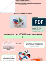 Aparatología Funcional