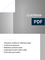 Clostridium SPP