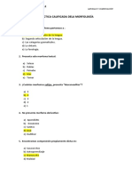 Practica Calificada de Morfologia