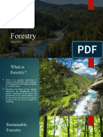 Forestry: What It Is?