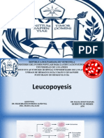 Leucopoyesis