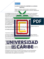 Análisis Interpretativo Sobre Los Sistemas de Contabilidad en Un Ambiente Electrónico