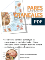 Exploración de Los Pares Craneales