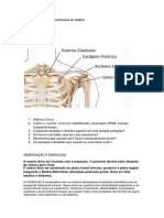 Roteiro para Aula de Semiologia de Ombro