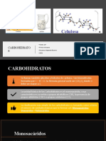 CARBOHIDRATOS