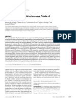 Complications of The Arteriovenous Fistula: A Systematic Review