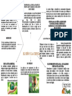 El Niño y La Ciencia - Grupo 1