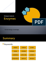 Biological Catalysts: IGCSE Biology (Cambridge)