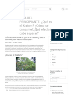 Guía para Entender Que Es El Kratom, Consumo y Efectos.