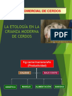 Clase 13.1 LA ETOLOGÍA EN LA CRIANZA MODERNA DE CERDOS