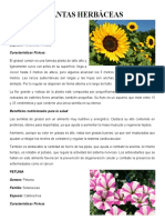 Album de Plantas