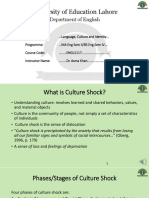 4 Cultural Shock