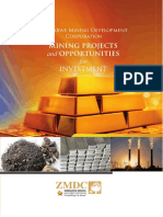 Mining Projects: and Opportunities For