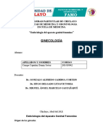 Embriología Del Aparato Genital Femenino