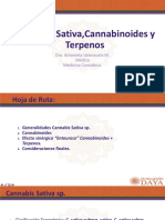 4 - Cannabis, Cannabinoides y Terpenos