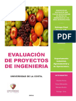 Evaluacion de Proyectos - Despulpadora de Frutas