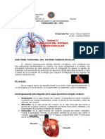 Fisiologia Del Sistema Cardiovascular