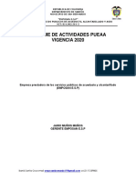 Informe de Actividades Pueaa