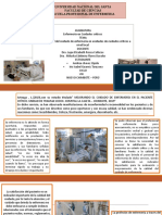 Cuidados de Enfermeria en Uci A Nivel Local