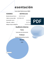 Trabajo - de - Auditoria Interna Tema V