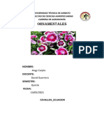 Especies Floricolas (Ornamentales)