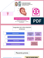Hemorragias Gestacionales 1er Mitad Del Embarazo