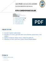 Aparato Cardiovascuar A2