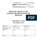 Informe Mensual de Prevención de Riesgos N°1