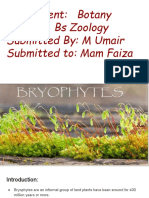 Assignment: Botany Class: Bs Zoology Submitted By: M Umair Submitted To: Mam Faiza