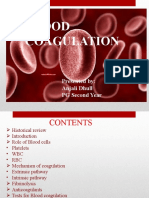 Blood Coagulation Seminar