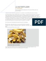 Banana Peels As Fertilizer