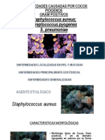 Enfermedades Causadas Por Cocos Piógenos Gram Positivos: Staphylococcus Aureus Streptococcus Pyogenes S. Pneumoniae