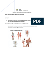 Masj1145 - Kinesiologia - Conceptos Basicos