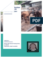 Animal Production: Ruminants NCII