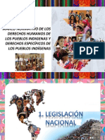 Derechos Humanos de Los Pueblos Indigenas