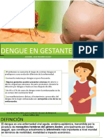 Dengue en Gestante Resumen