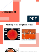 Retinal Detachment Slide