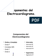 05 Componentes Del ECG