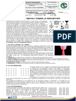 8-Leyes de La Percepción