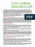 Ficha Tecnica Piña Agricola Karlita