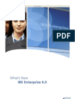 IBS Enterprise 6.0