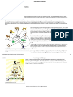 02 Flow of Energy in Ecosystems Text-Merged