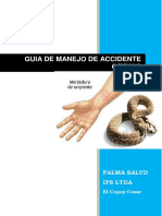 Accidente Ofidico