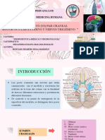 Exposicion Pares Craneales